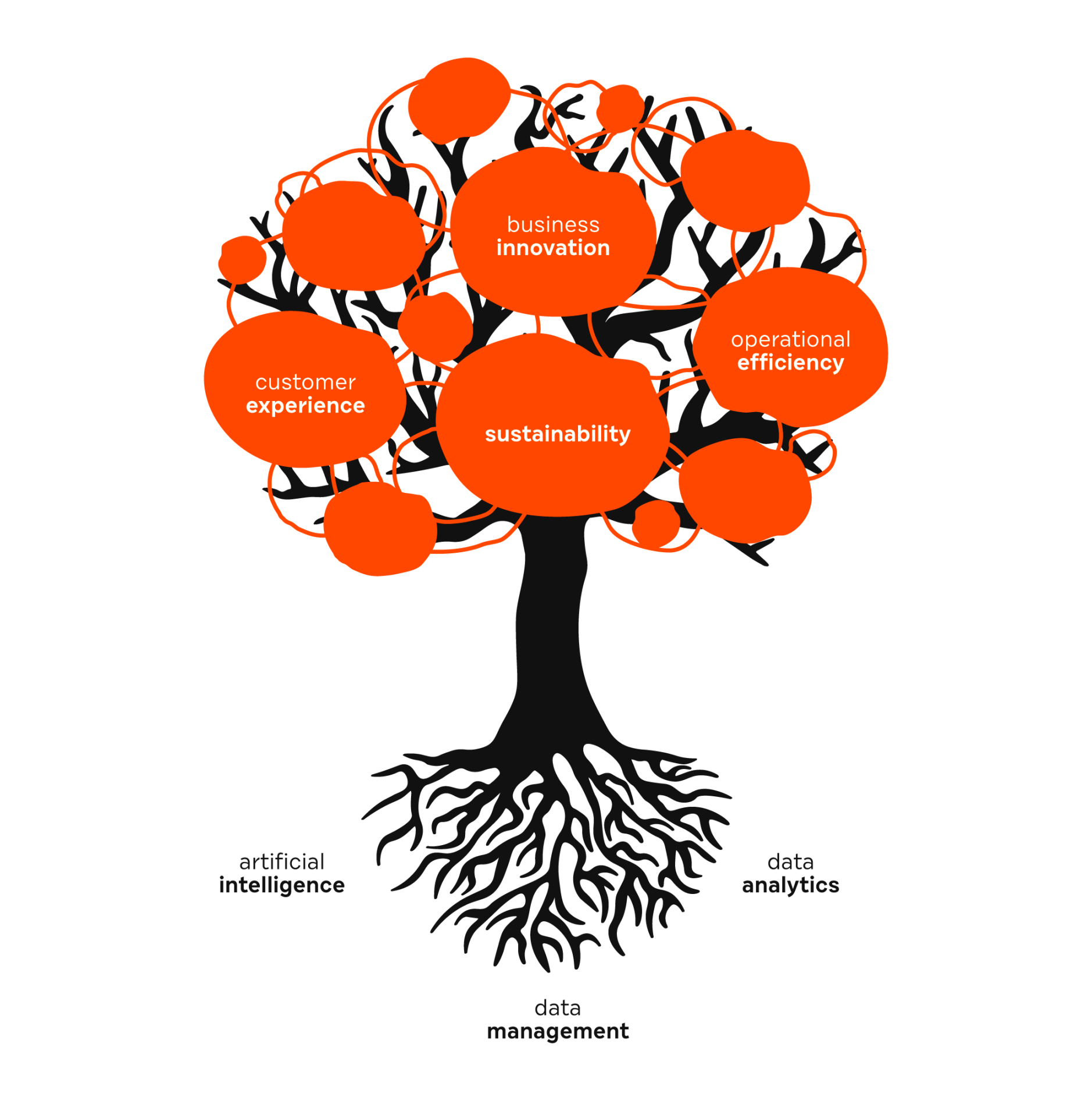 what we do hazel tree