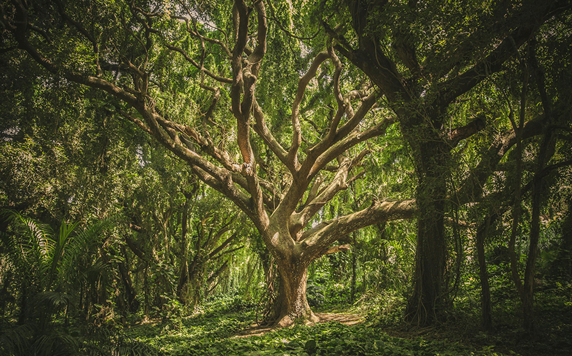 From organizations to ecosystems and a new way of operating in 2026 blog 2